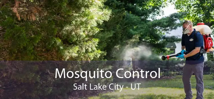 Mosquito Control Salt Lake City - UT