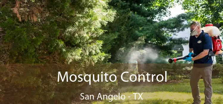  Mosquito Control San Angelo - TX