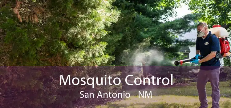 Mosquito Control San Antonio - NM