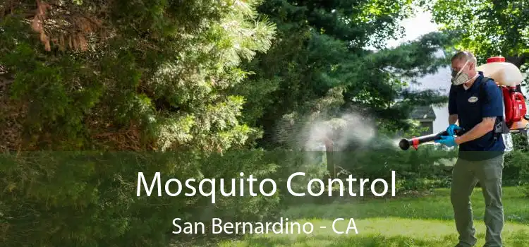  Mosquito Control San Bernardino - CA