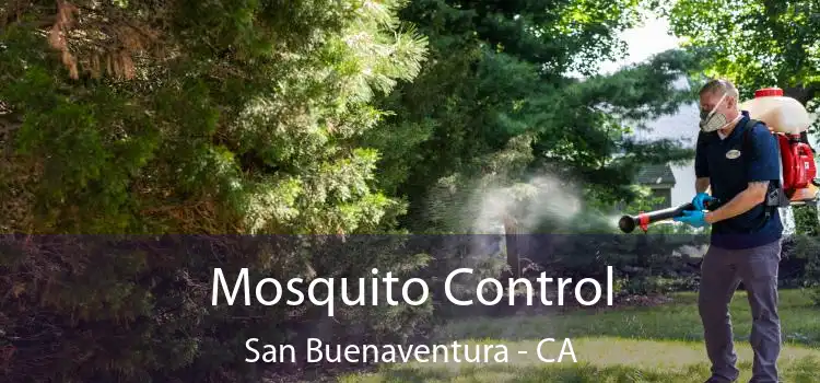  Mosquito Control San Buenaventura - CA