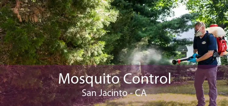 Mosquito Control San Jacinto - CA