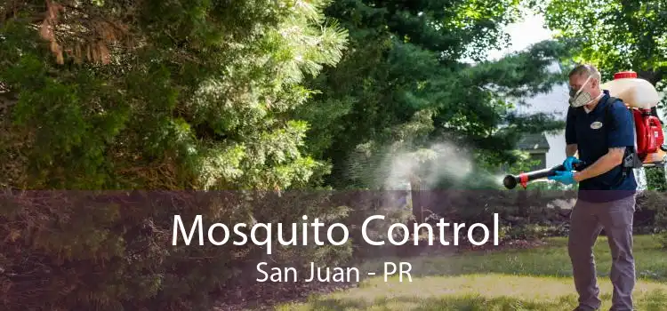 Mosquito Control San Juan - PR