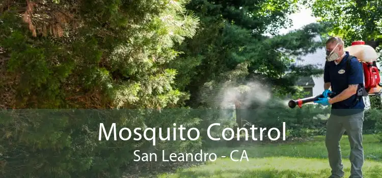 Mosquito Control San Leandro - CA
