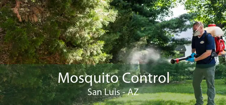 Mosquito Control San Luis - AZ