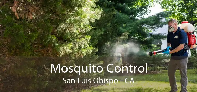 Mosquito Control San Luis Obispo - CA