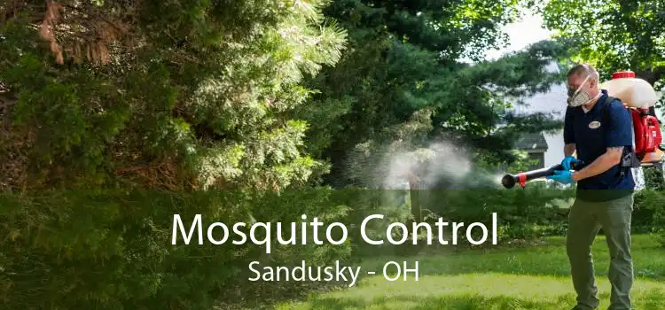 Mosquito Control Sandusky - OH