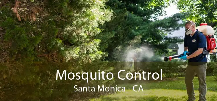 Mosquito Control Santa Monica - CA