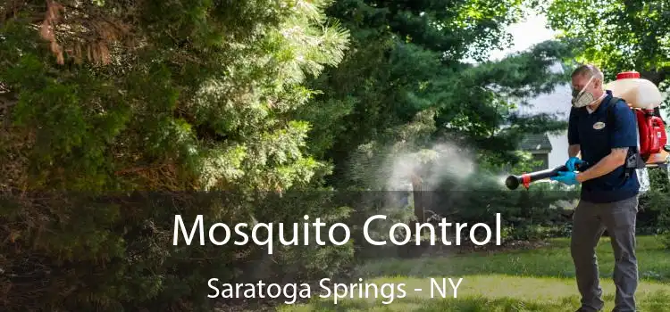  Mosquito Control Saratoga Springs - NY