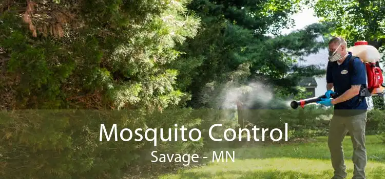Mosquito Control Savage - MN