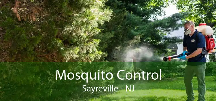 Mosquito Control Sayreville - NJ