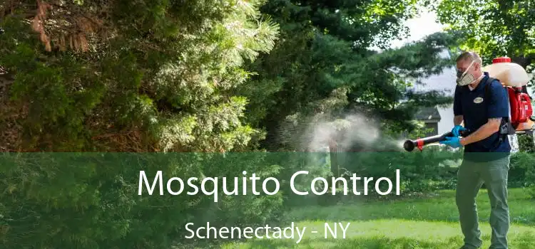  Mosquito Control Schenectady - NY