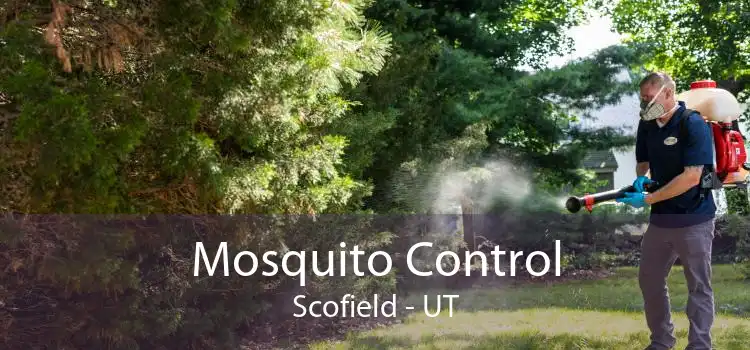 Mosquito Control Scofield - UT