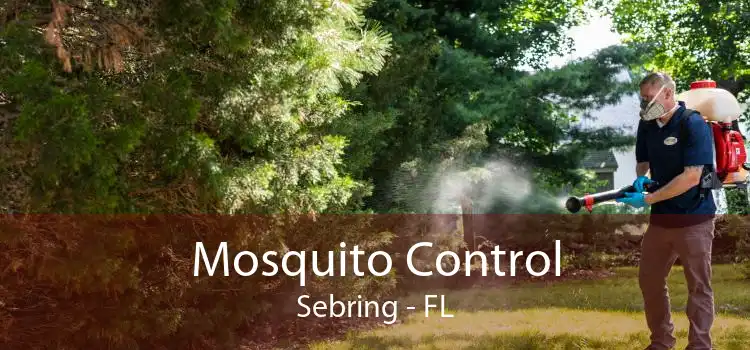 Mosquito Control Sebring - FL