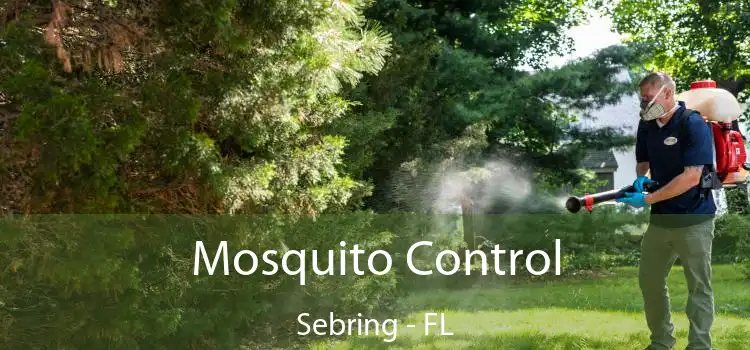  Mosquito Control Sebring - FL