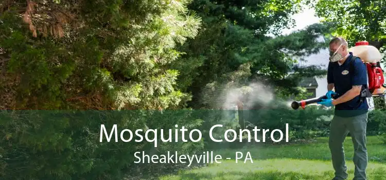 Mosquito Control Sheakleyville - PA