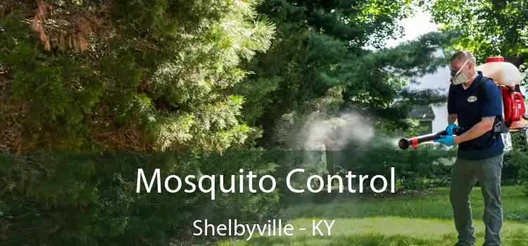  Mosquito Control Shelbyville - KY
