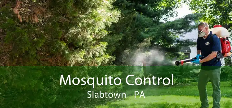 Mosquito Control Slabtown - PA