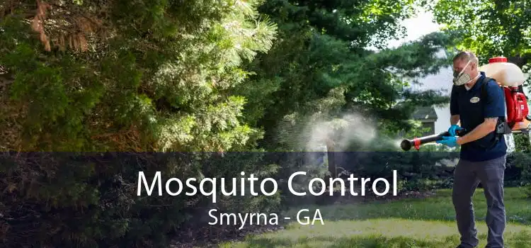 Mosquito Control Smyrna - GA