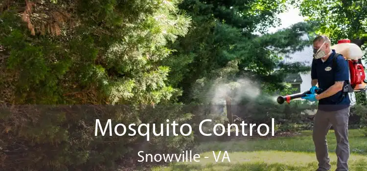  Mosquito Control Snowville - VA