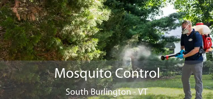  Mosquito Control South Burlington - VT