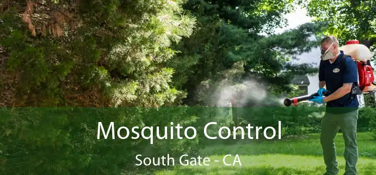  Mosquito Control South Gate - CA