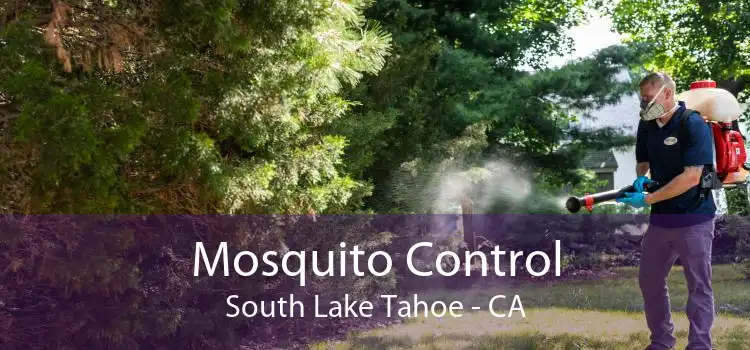 Mosquito Control South Lake Tahoe - CA
