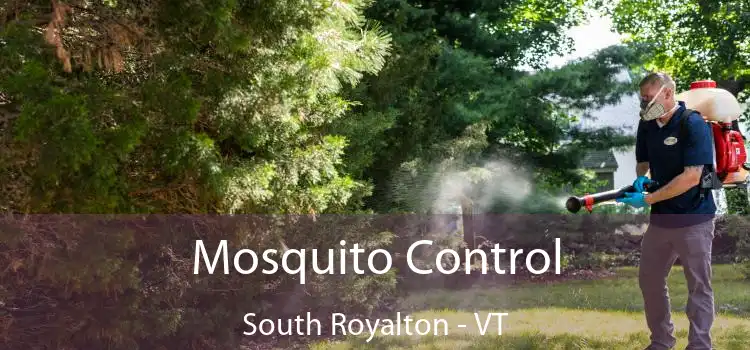  Mosquito Control South Royalton - VT