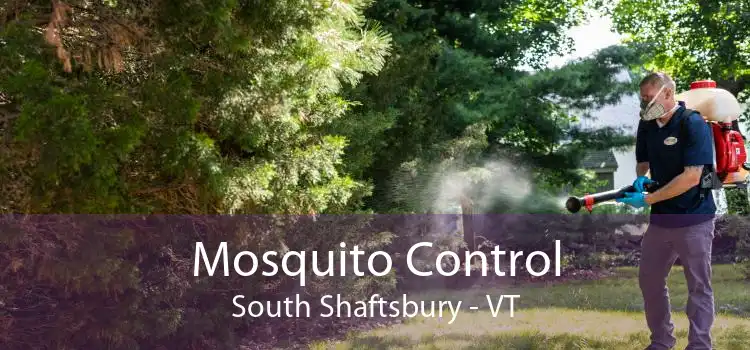 Mosquito Control South Shaftsbury - VT