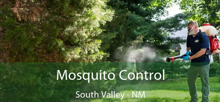  Mosquito Control South Valley - NM