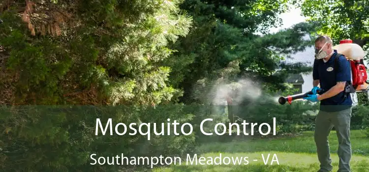  Mosquito Control Southampton Meadows - VA