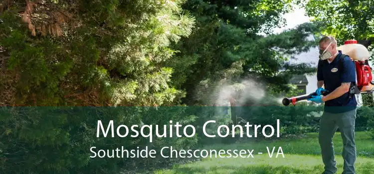 Mosquito Control Southside Chesconessex - VA