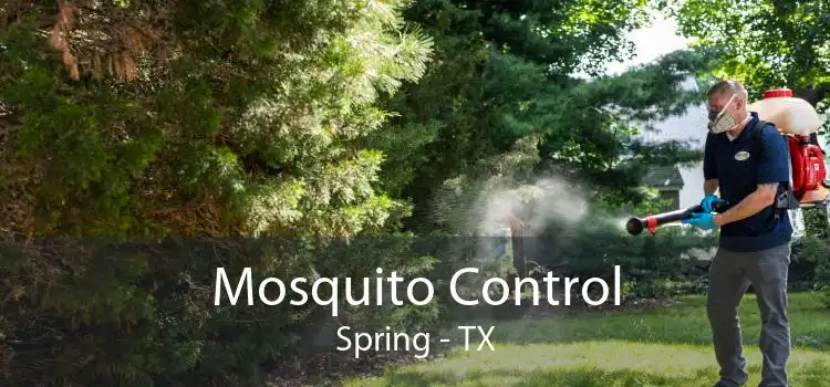 Mosquito Control Spring - TX
