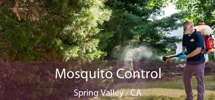  Mosquito Control Spring Valley - CA
