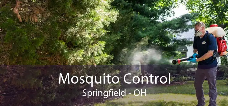 Mosquito Control Springfield - OH