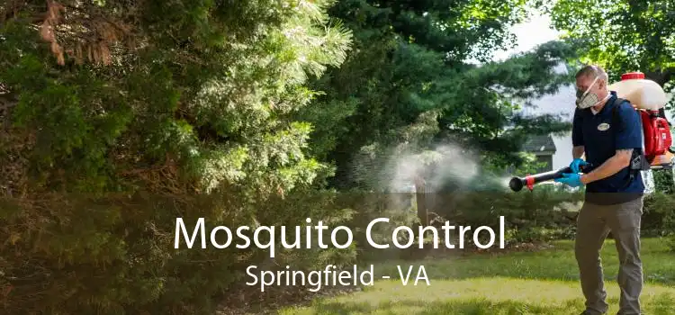 Mosquito Control Springfield - VA