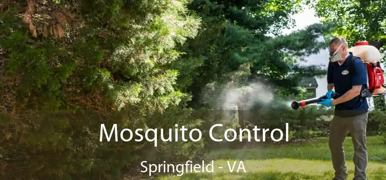  Mosquito Control Springfield - VA