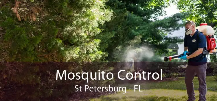 Mosquito Control St Petersburg - FL