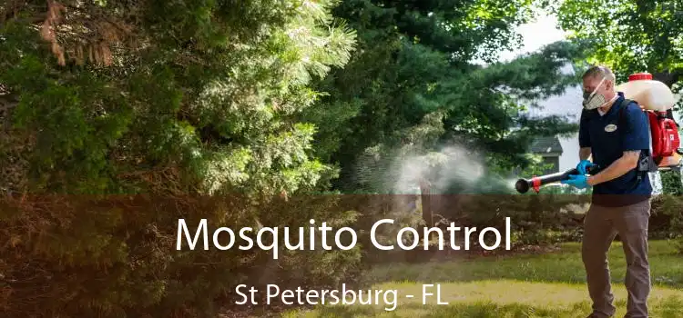  Mosquito Control St Petersburg - FL