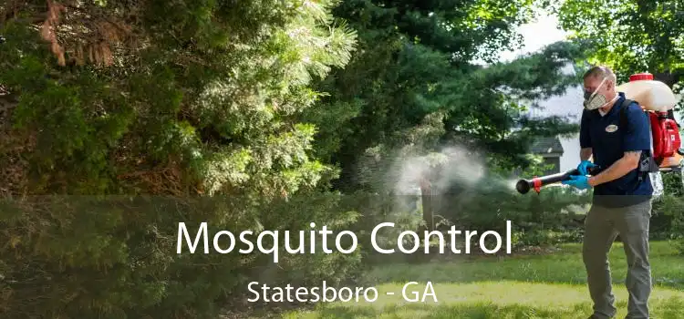  Mosquito Control Statesboro - GA