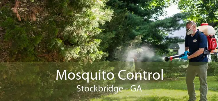Mosquito Control Stockbridge - GA