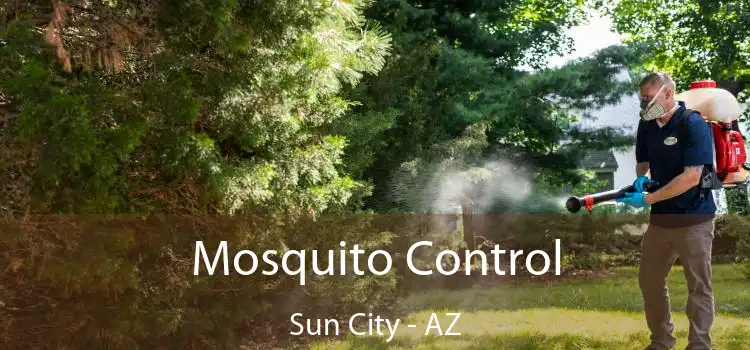  Mosquito Control Sun City - AZ