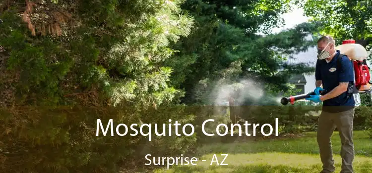  Mosquito Control Surprise - AZ