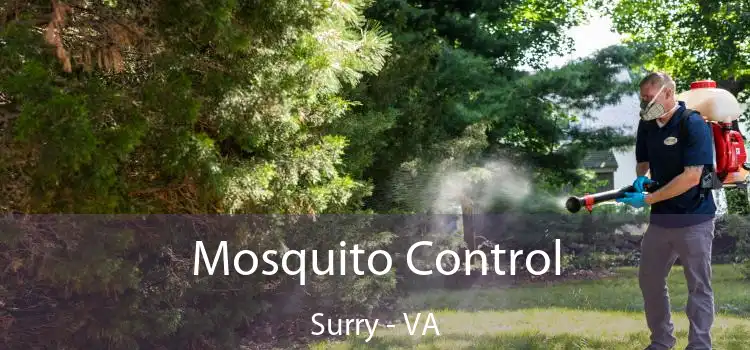  Mosquito Control Surry - VA