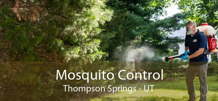 Mosquito Control Thompson Springs - UT