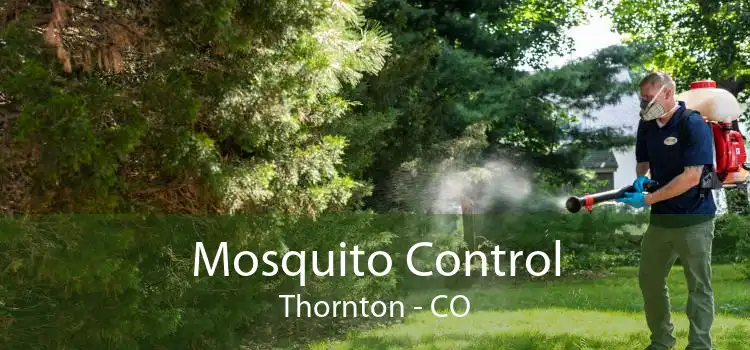 Mosquito Control Thornton - CO