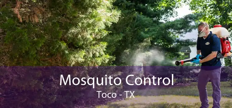Mosquito Control Toco - TX