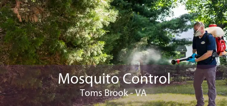 Mosquito Control Toms Brook - VA