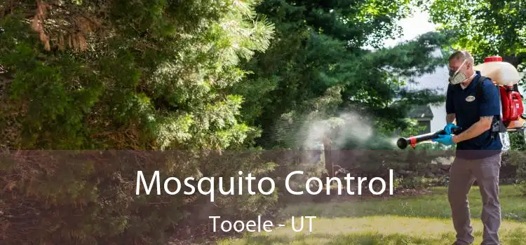  Mosquito Control Tooele - UT
