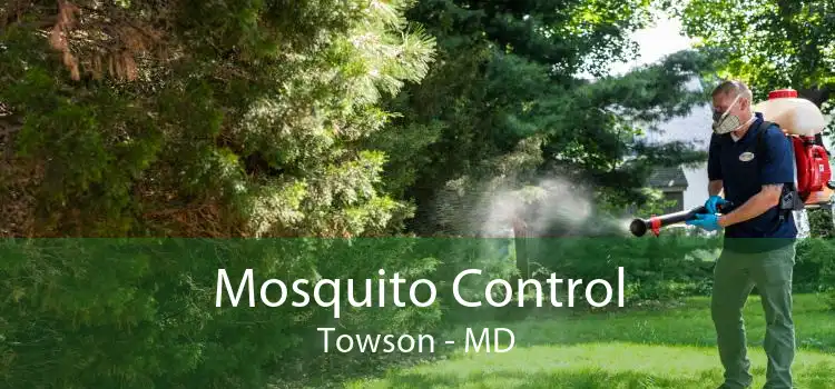 Mosquito Control Towson - MD